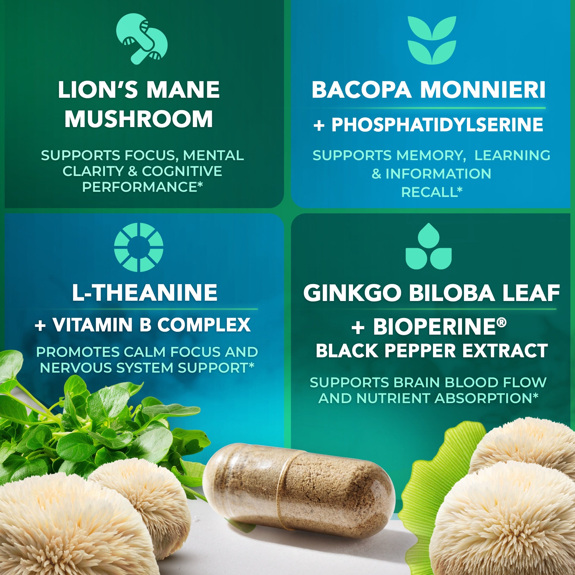 Lion's Mane Complex