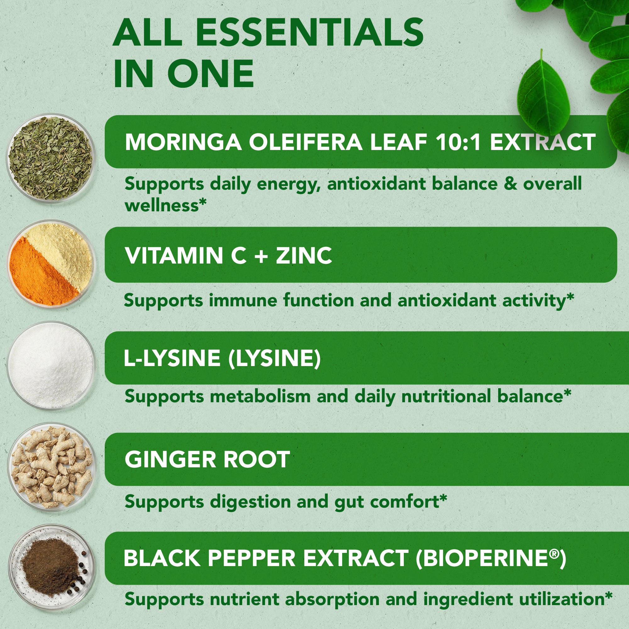 Moringa Complex